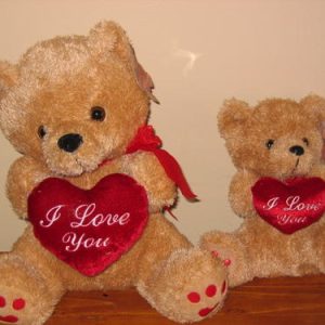 Brown Love bears
