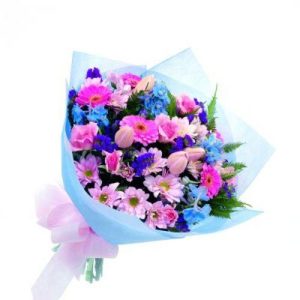 Pink and Blue B15