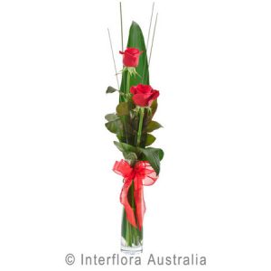Flirt 264