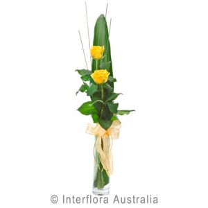 Flirt yellow 266