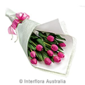 TEST PRODUCT